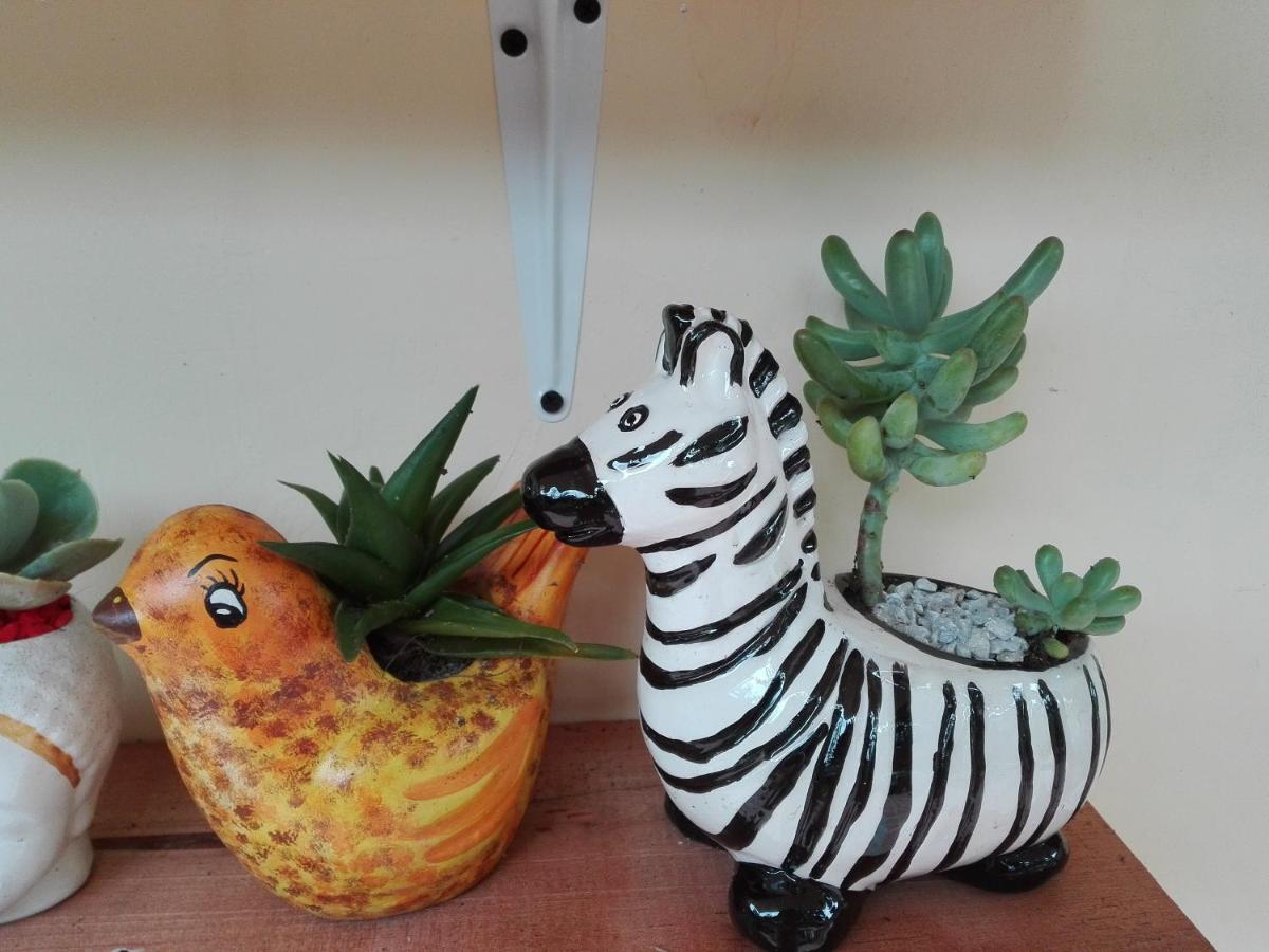 Mi Jardin Encantado Βίλα Εξωτερικό φωτογραφία