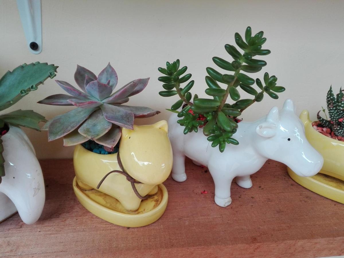 Mi Jardin Encantado Βίλα Εξωτερικό φωτογραφία